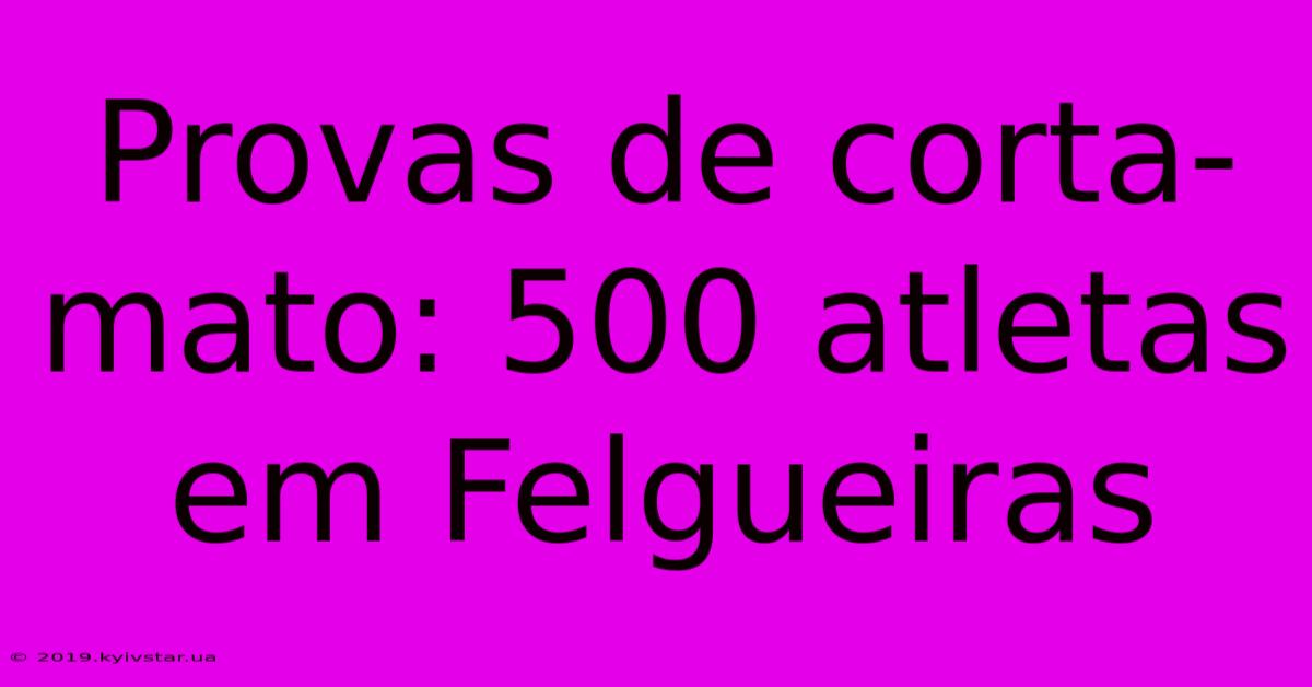 Provas De Corta-mato: 500 Atletas Em Felgueiras