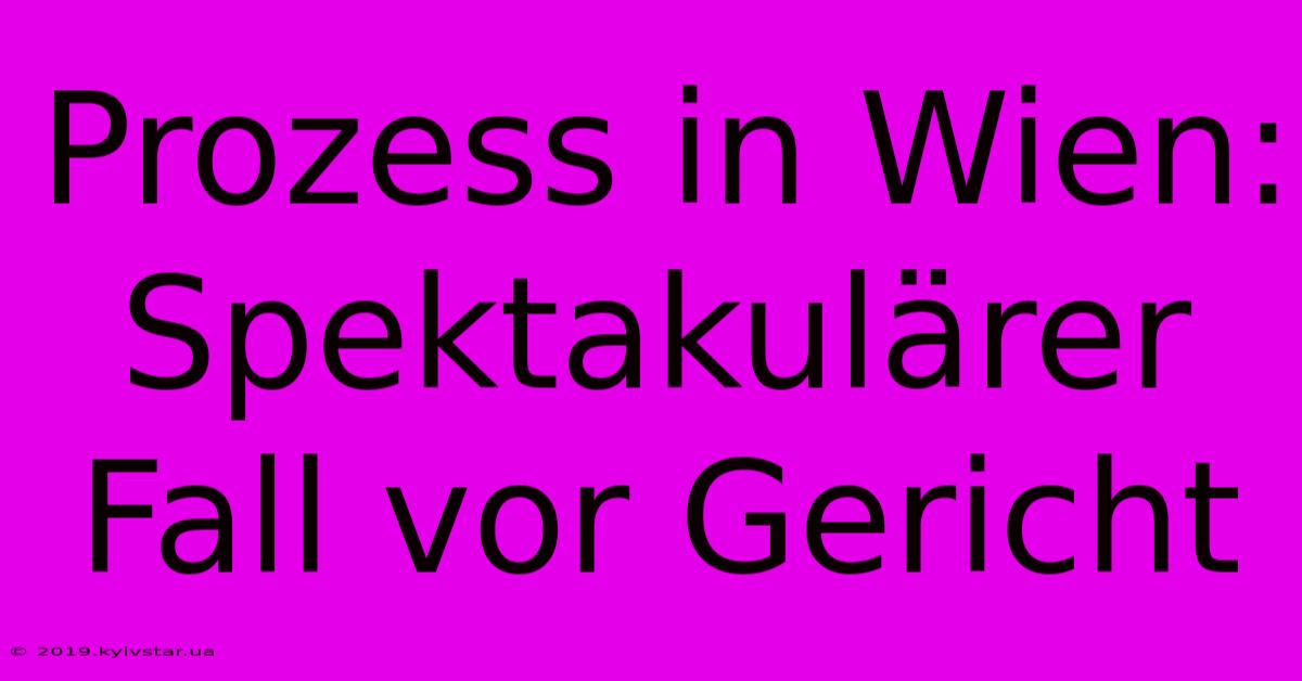 Prozess In Wien: Spektakulärer Fall Vor Gericht