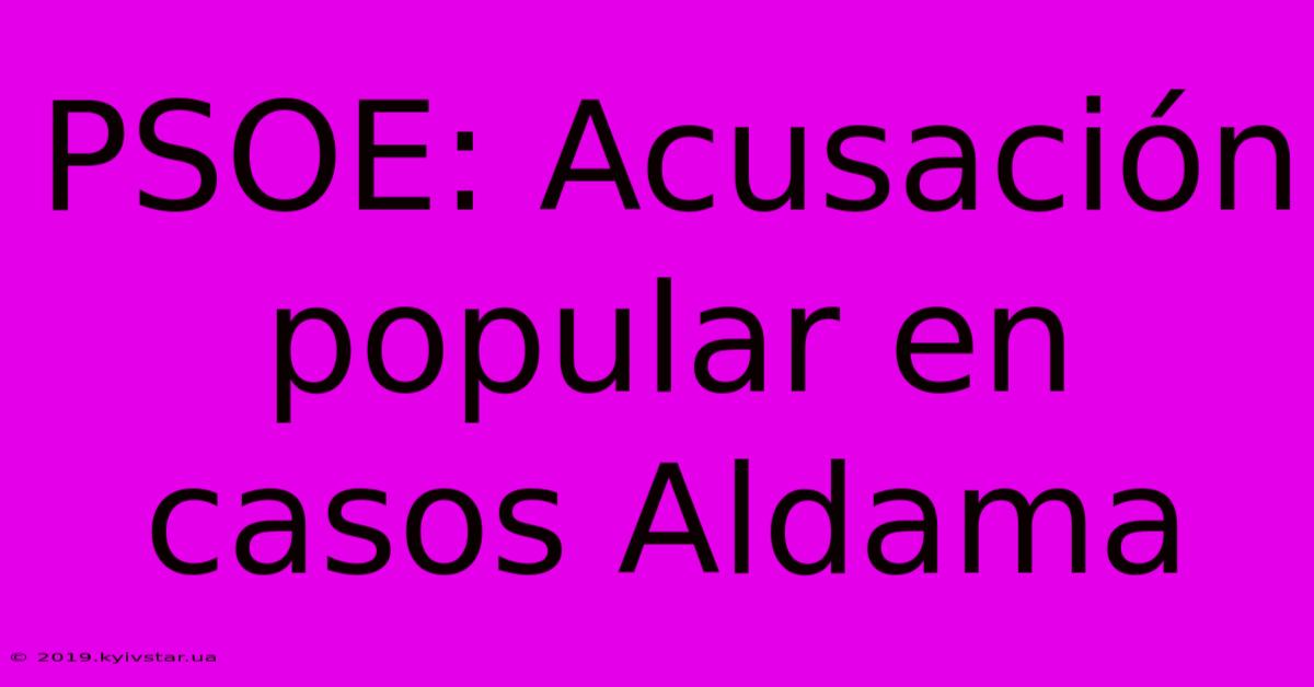 PSOE: Acusación Popular En Casos Aldama