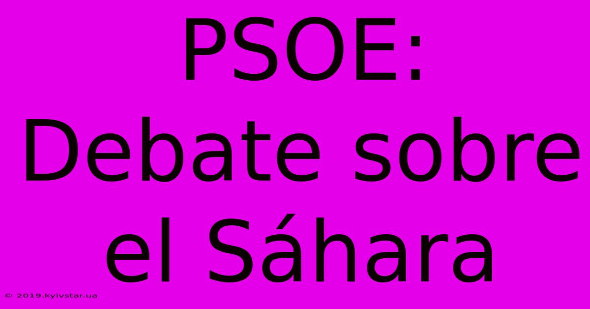 PSOE: Debate Sobre El Sáhara