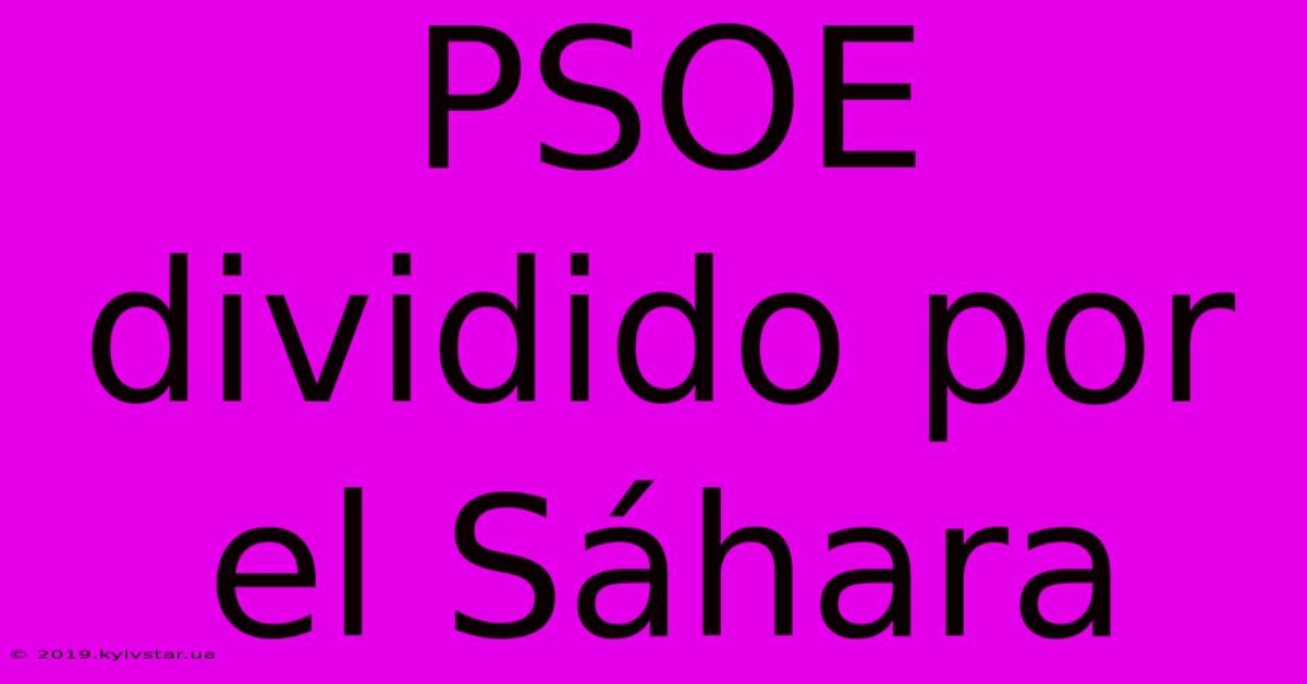 PSOE Dividido Por El Sáhara