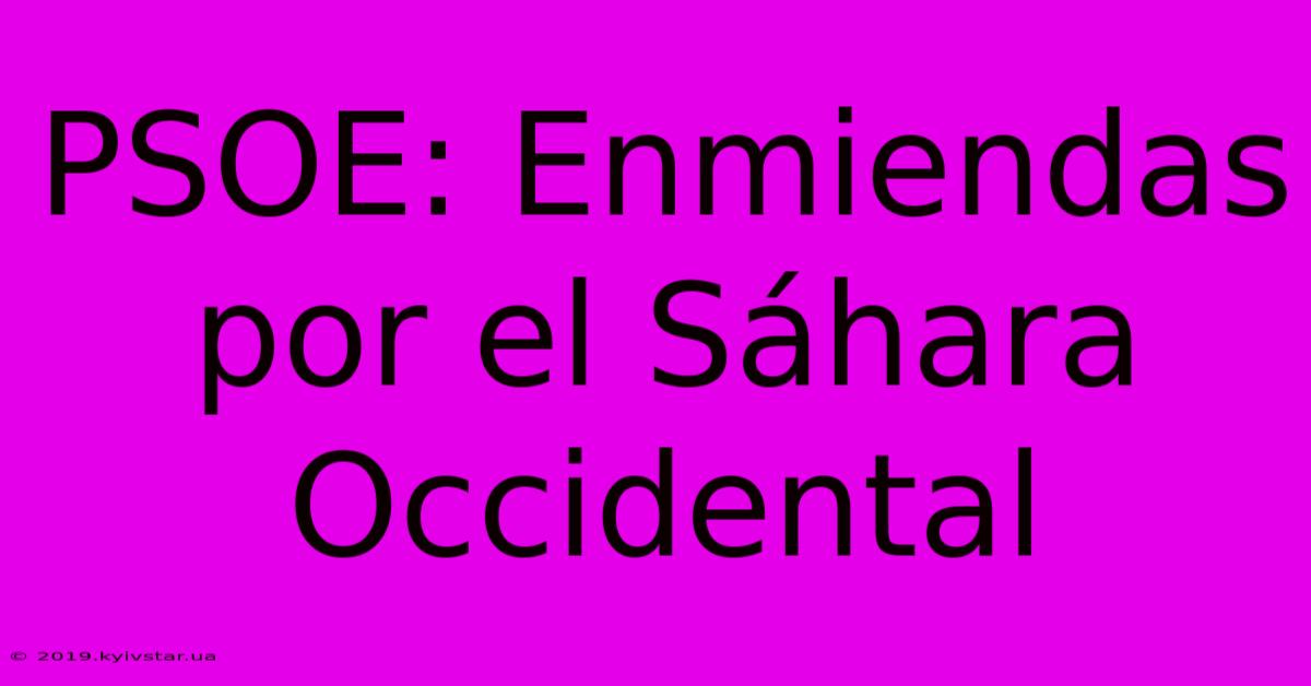 PSOE: Enmiendas Por El Sáhara Occidental