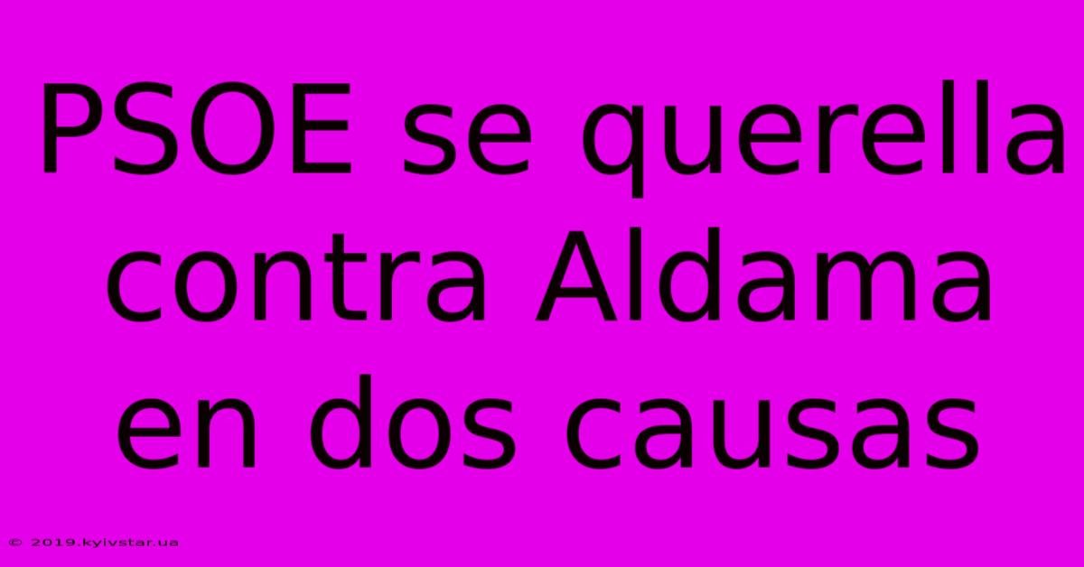 PSOE Se Querella Contra Aldama En Dos Causas