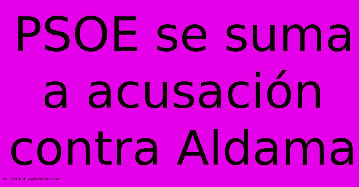 PSOE Se Suma A Acusación Contra Aldama