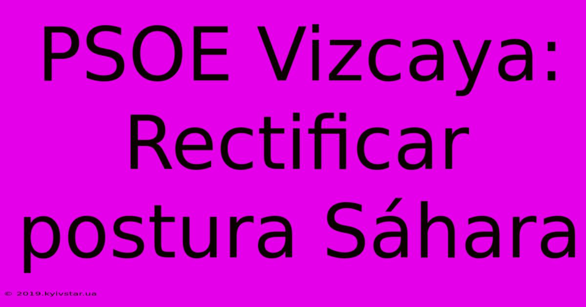 PSOE Vizcaya: Rectificar Postura Sáhara