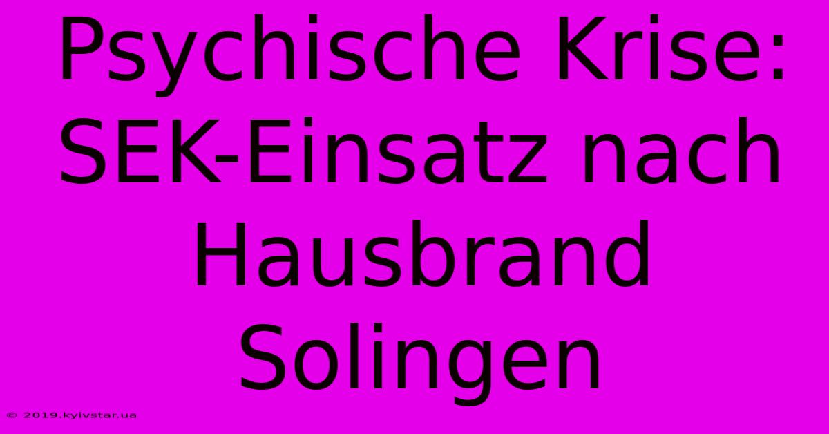 Psychische Krise: SEK-Einsatz Nach Hausbrand Solingen