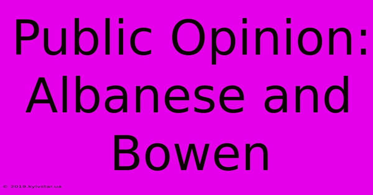 Public Opinion: Albanese And Bowen