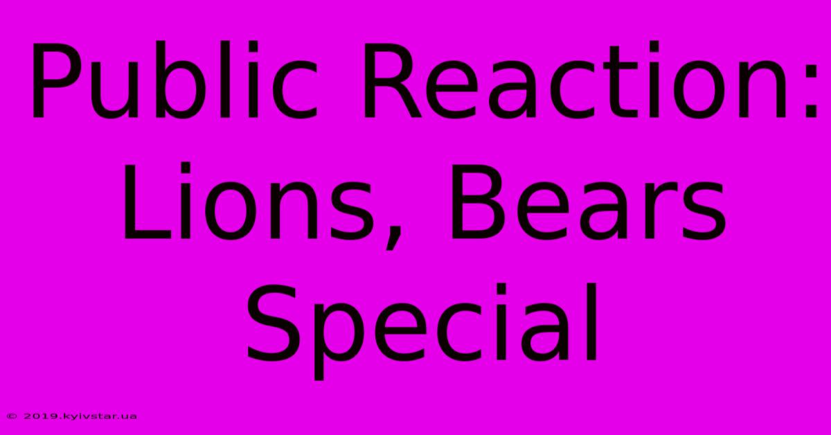 Public Reaction: Lions, Bears Special