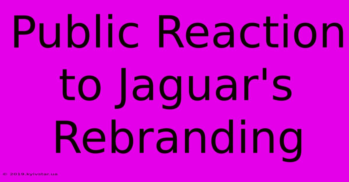 Public Reaction To Jaguar's Rebranding