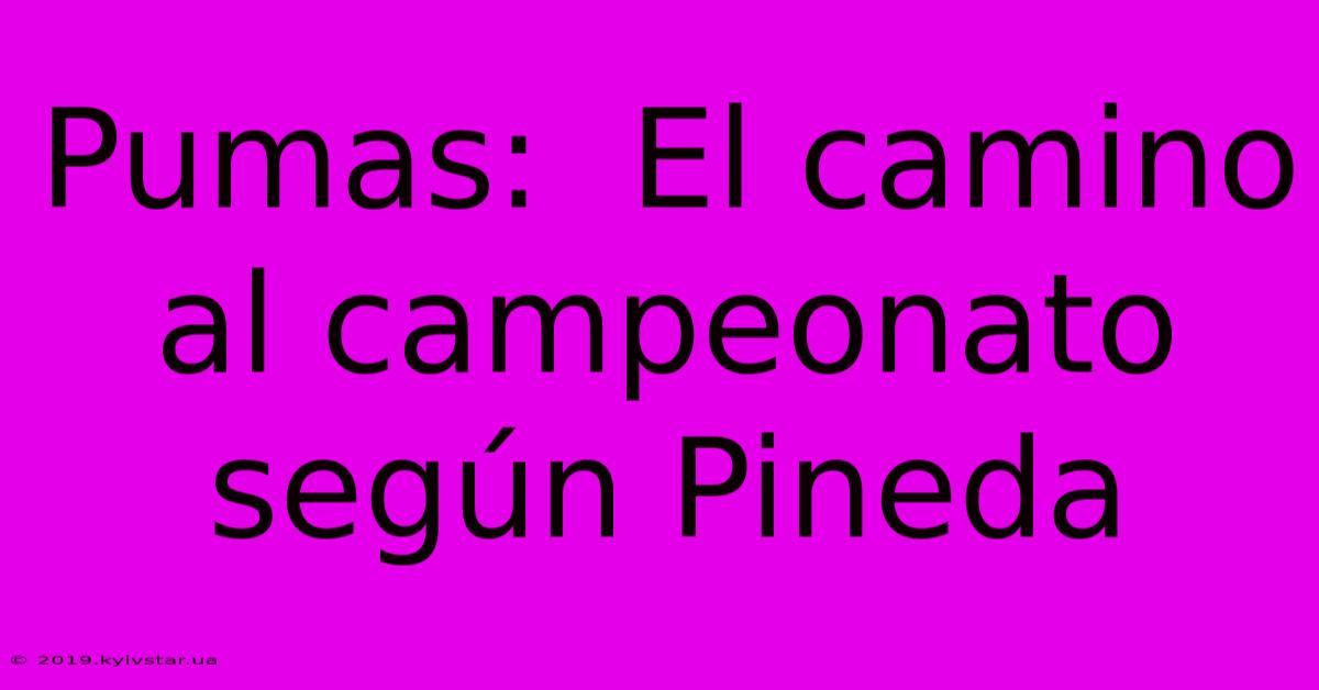 Pumas:  El Camino Al Campeonato Según Pineda