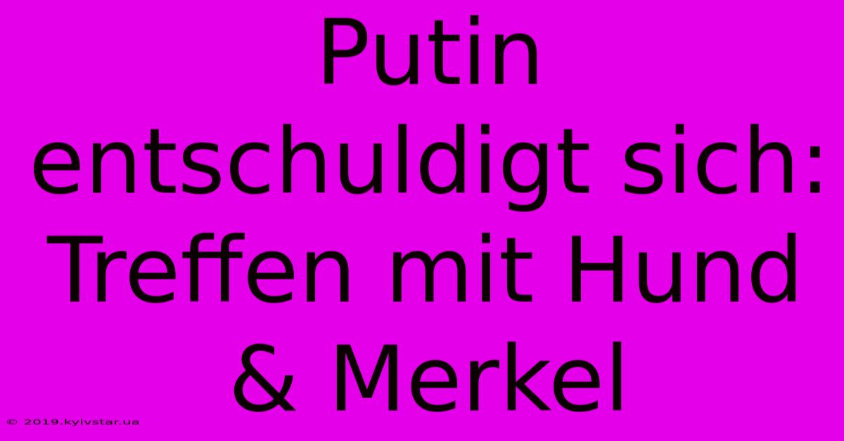 Putin Entschuldigt Sich: Treffen Mit Hund & Merkel