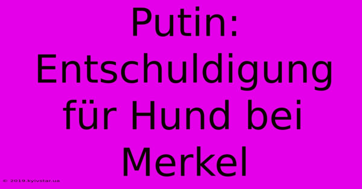 Putin: Entschuldigung Für Hund Bei Merkel