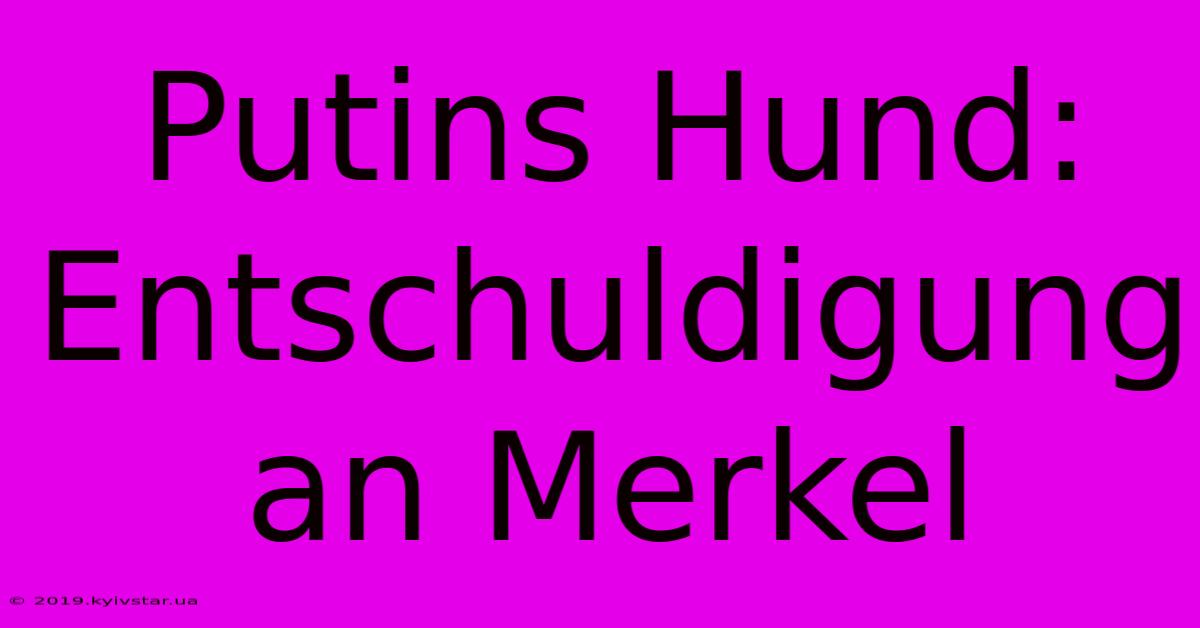 Putins Hund: Entschuldigung An Merkel