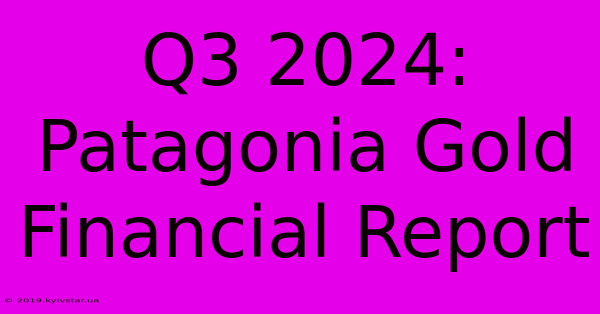 Q3 2024: Patagonia Gold Financial Report