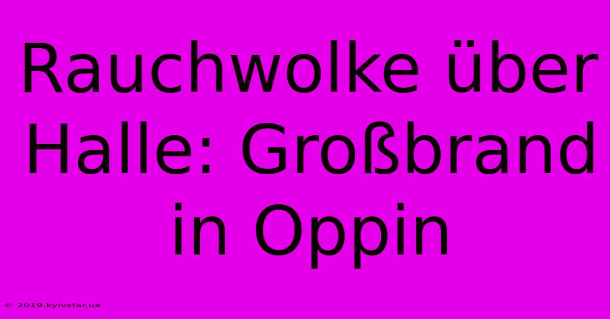 Rauchwolke Über Halle: Großbrand In Oppin