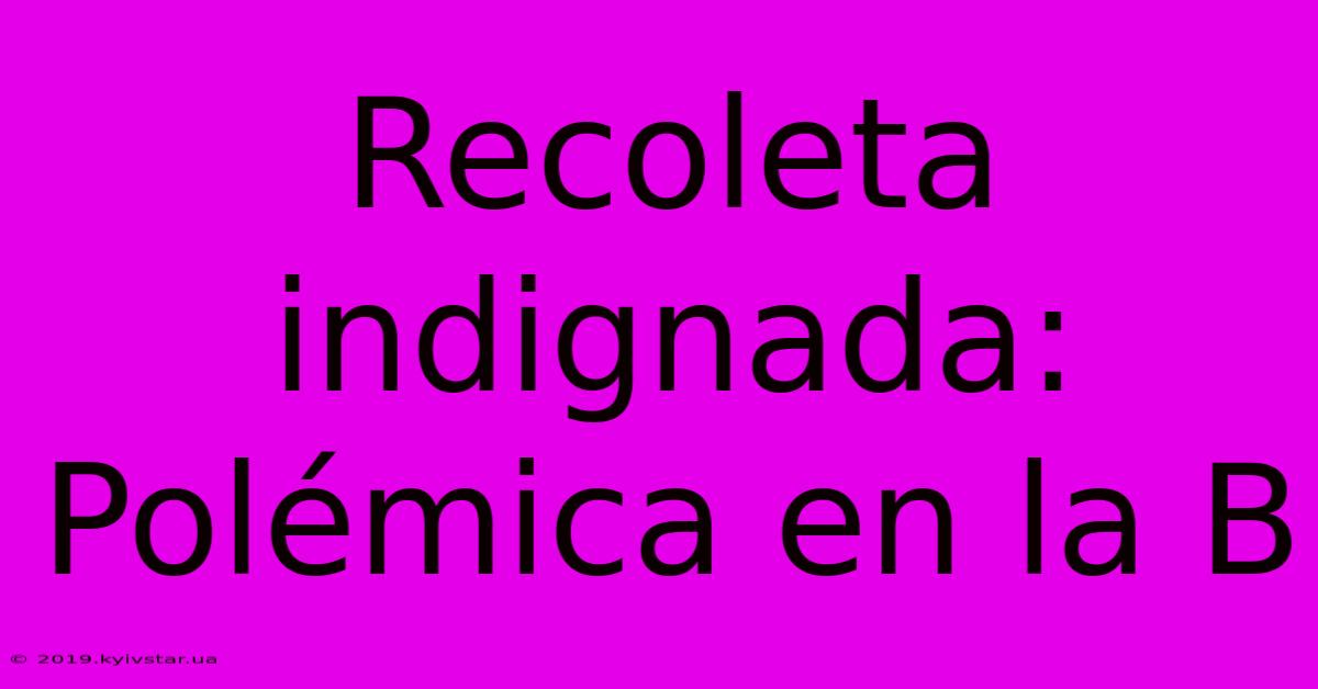 Recoleta Indignada: Polémica En La B