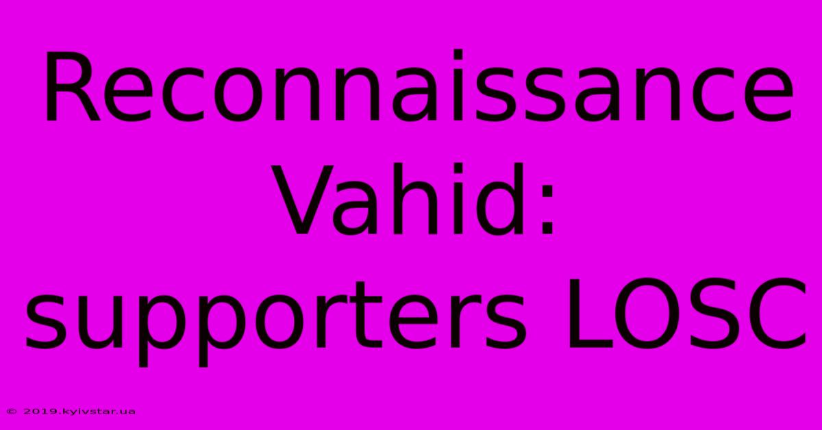 Reconnaissance Vahid:  Supporters LOSC