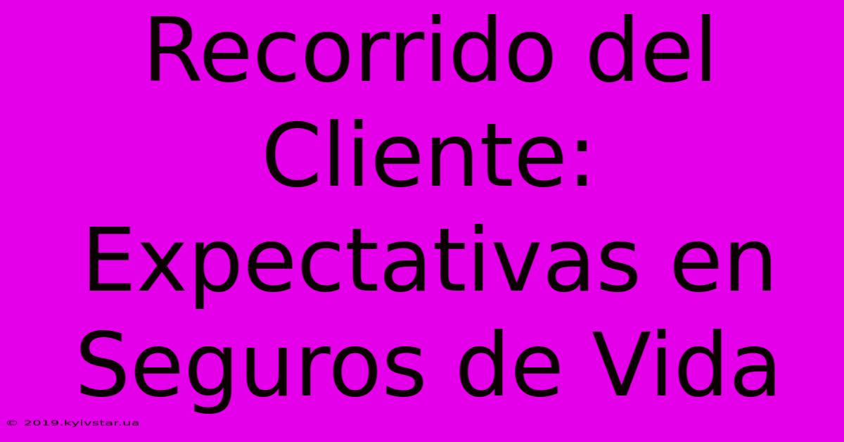 Recorrido Del Cliente: Expectativas En Seguros De Vida