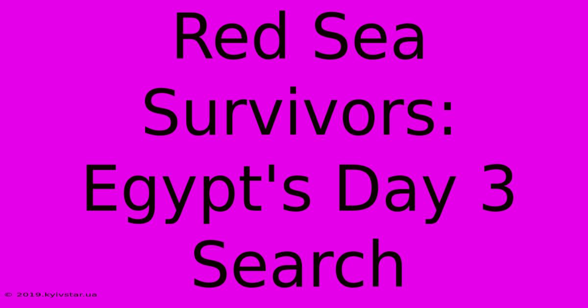 Red Sea Survivors: Egypt's Day 3 Search