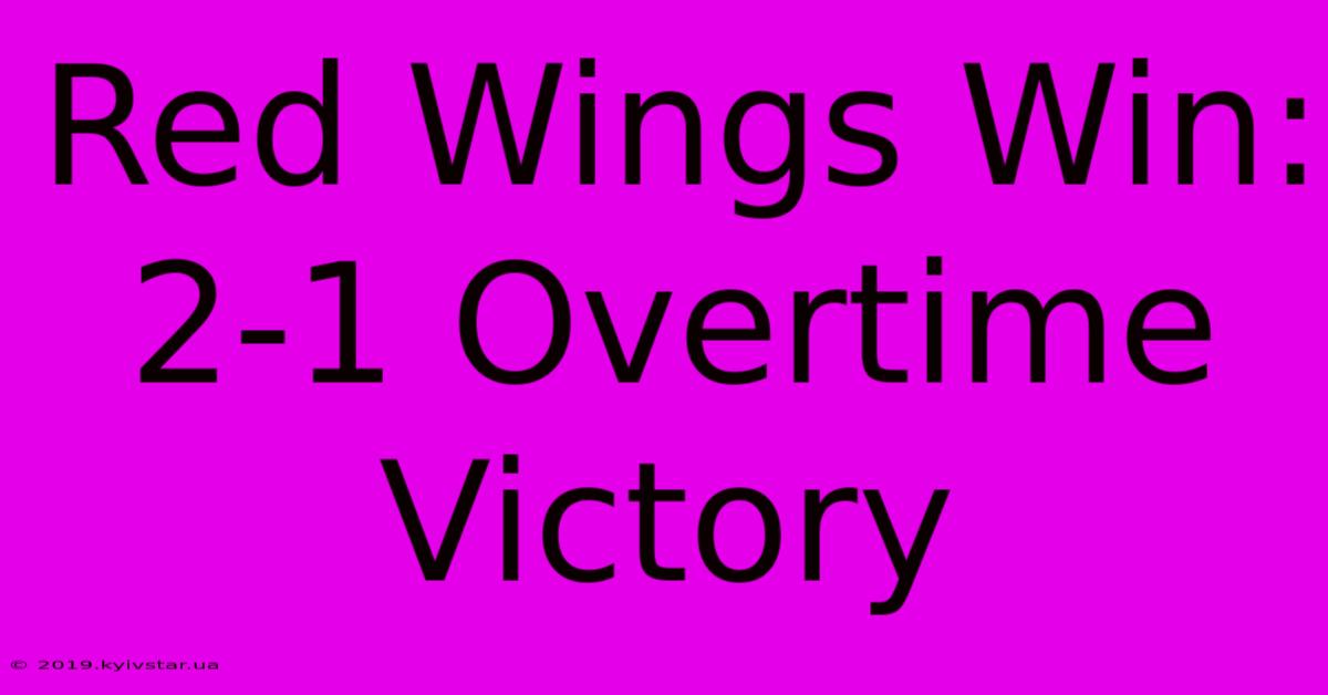 Red Wings Win: 2-1 Overtime Victory