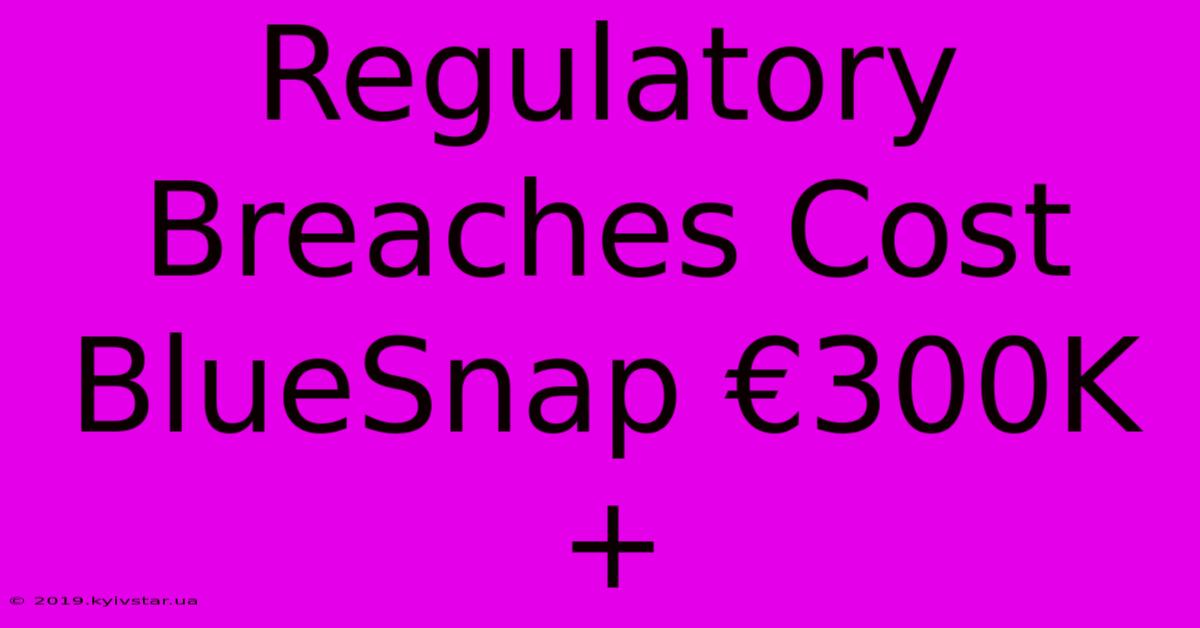 Regulatory Breaches Cost BlueSnap €300K+