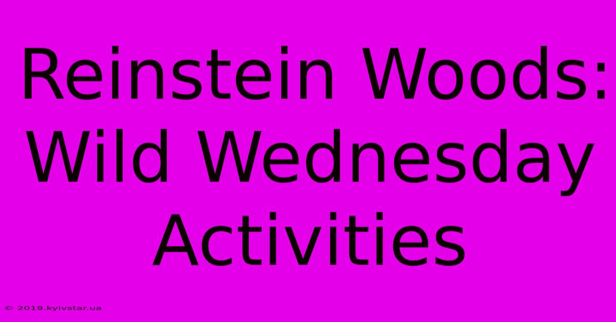 Reinstein Woods: Wild Wednesday Activities