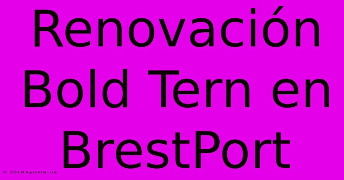 Renovación Bold Tern En BrestPort