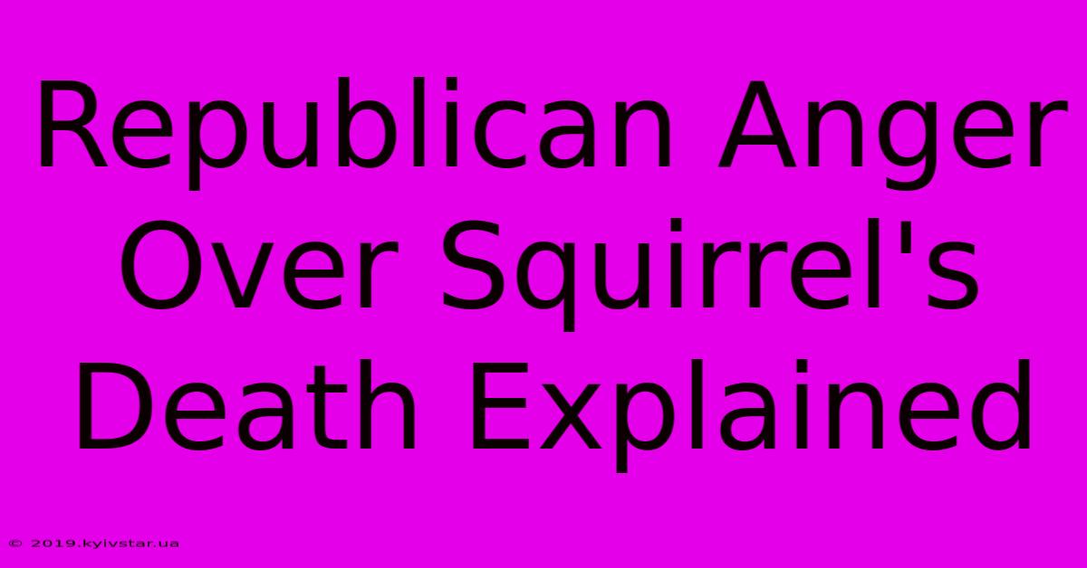 Republican Anger Over Squirrel's Death Explained