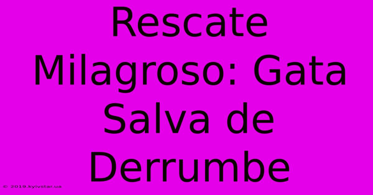 Rescate Milagroso: Gata Salva De Derrumbe 