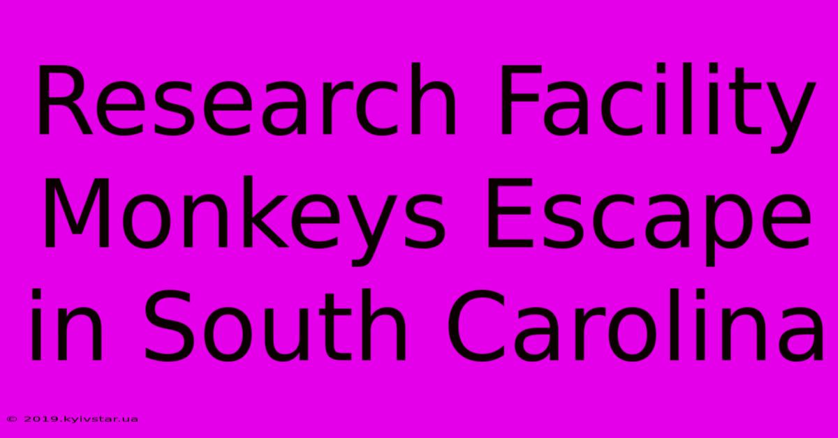 Research Facility Monkeys Escape In South Carolina