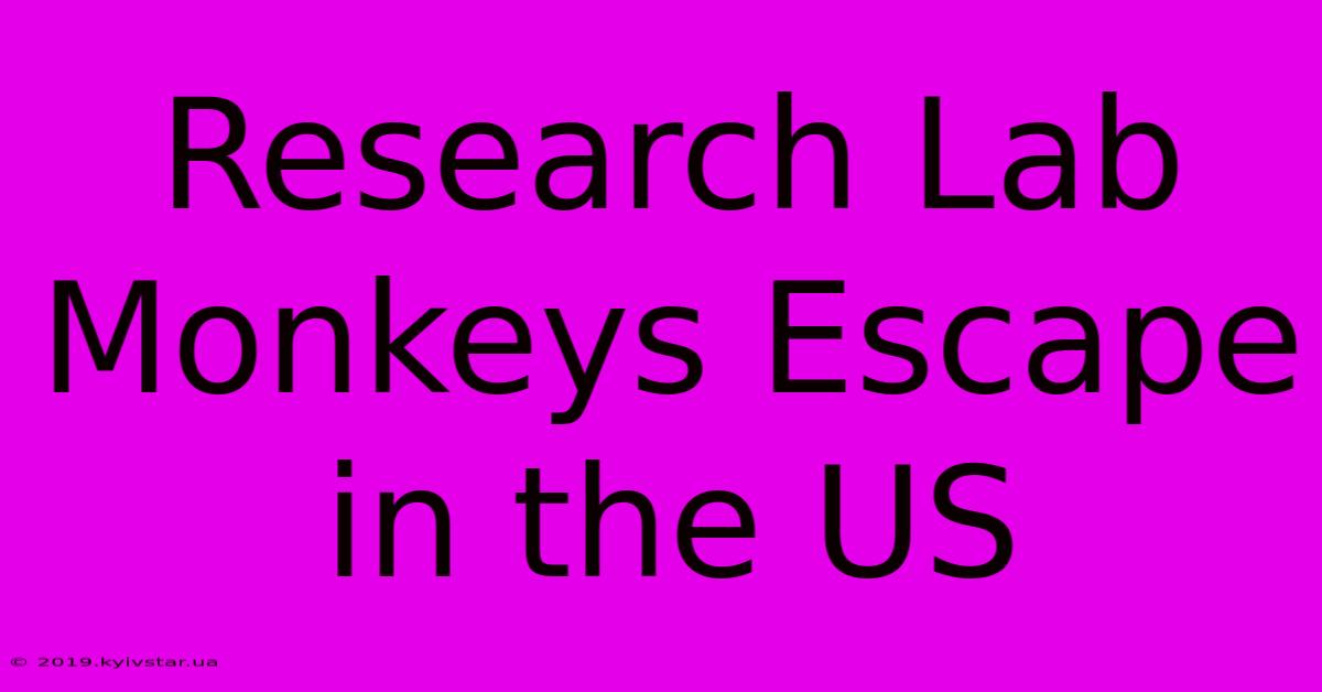 Research Lab Monkeys Escape In The US