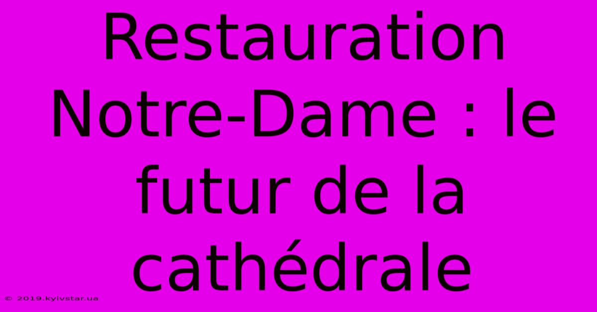 Restauration Notre-Dame : Le Futur De La Cathédrale