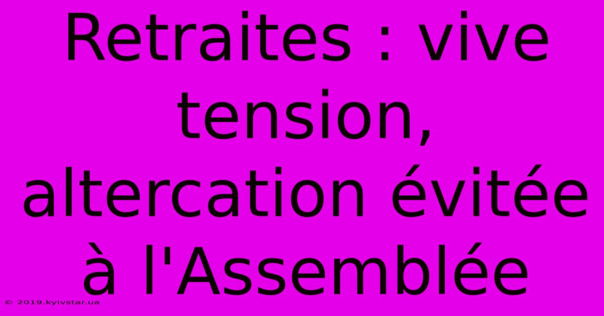 Retraites : Vive Tension, Altercation Évitée À L'Assemblée