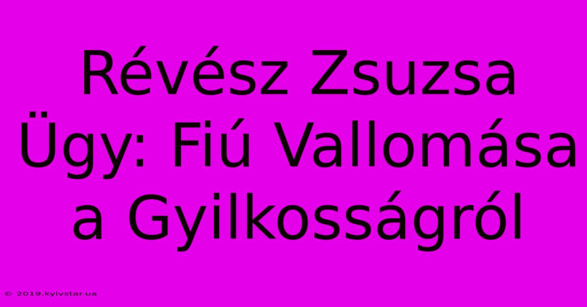 Révész Zsuzsa Ügy: Fiú Vallomása A Gyilkosságról