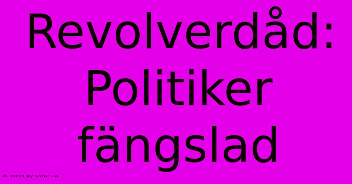 Revolverdåd: Politiker Fängslad