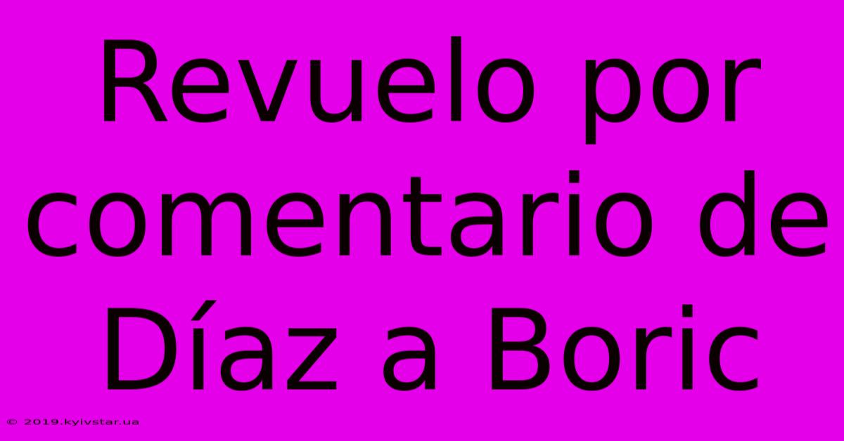 Revuelo Por Comentario De Díaz A Boric 