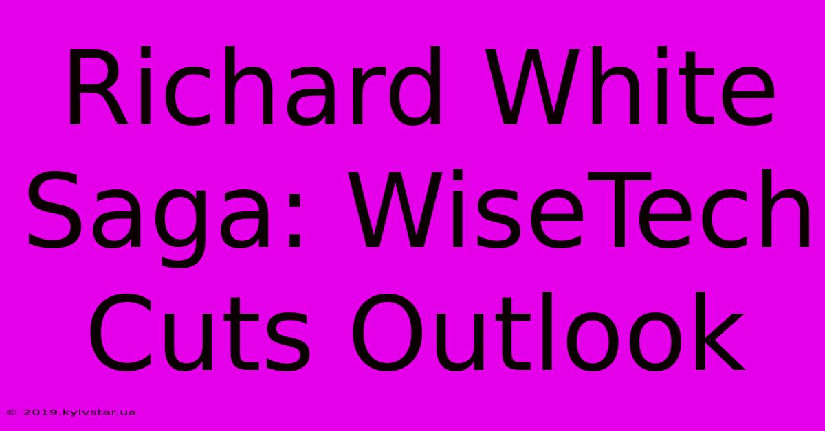 Richard White Saga: WiseTech Cuts Outlook