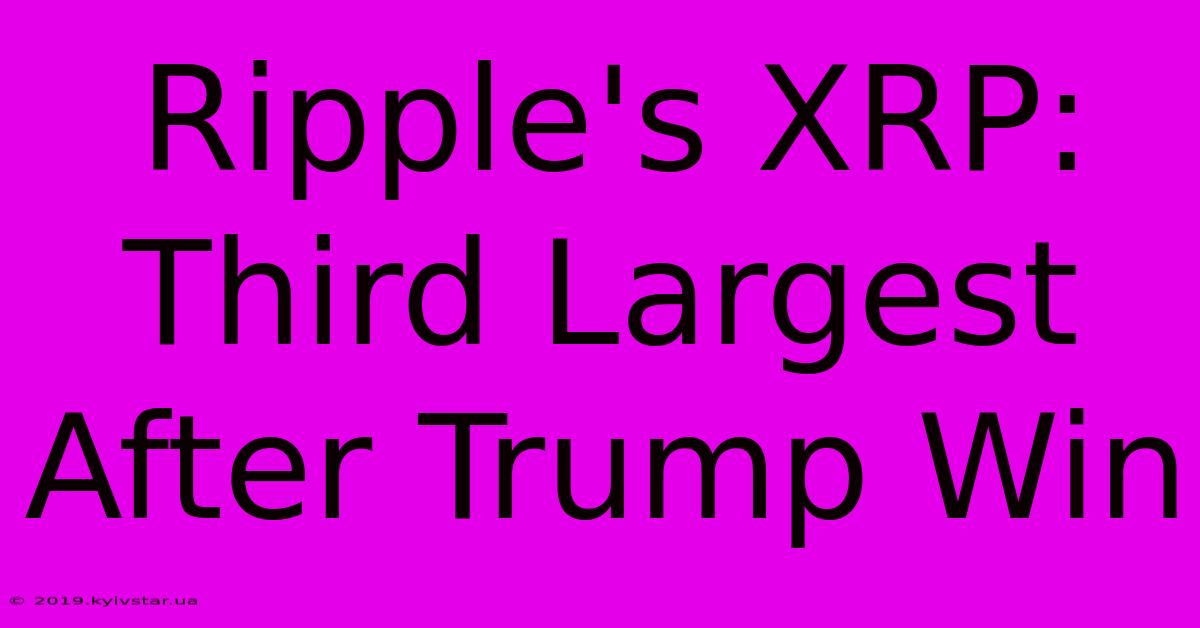 Ripple's XRP: Third Largest After Trump Win