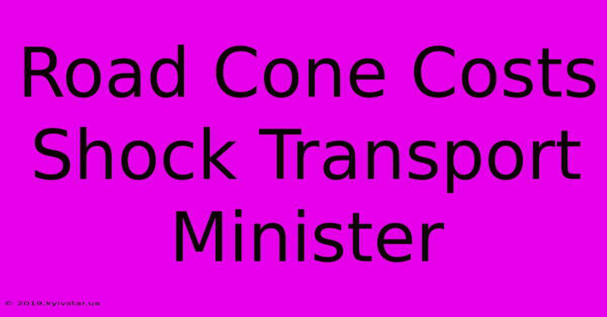 Road Cone Costs Shock Transport Minister