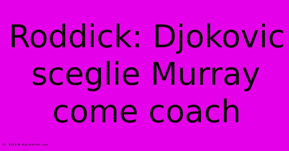 Roddick: Djokovic Sceglie Murray Come Coach