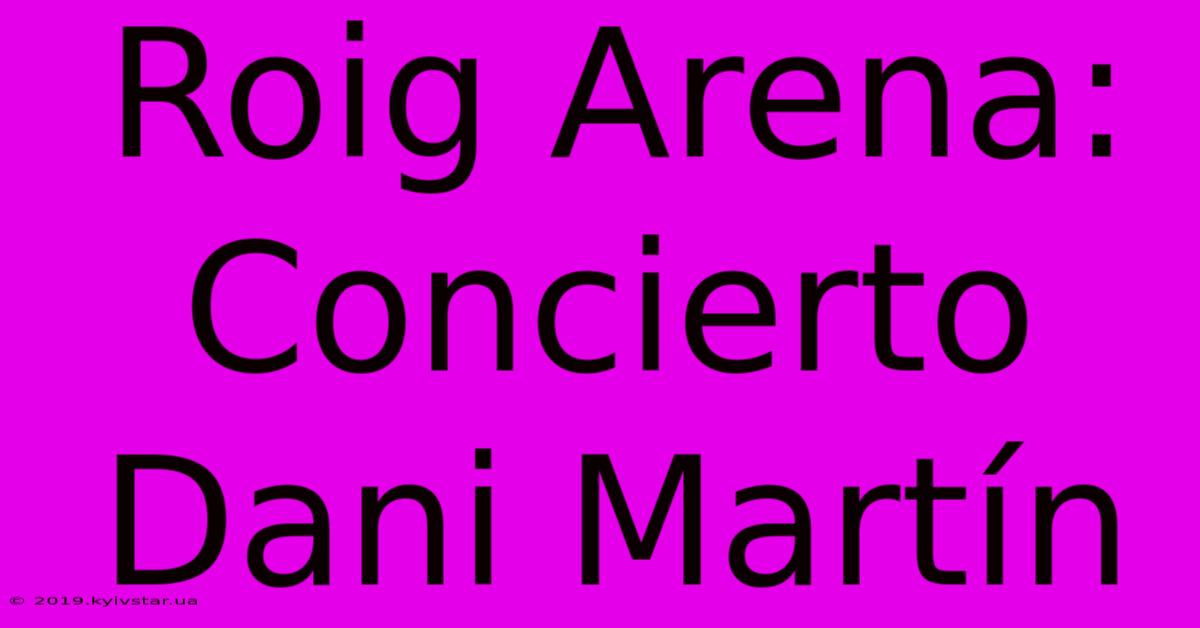 Roig Arena: Concierto Dani Martín