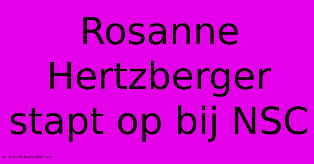 Rosanne Hertzberger Stapt Op Bij NSC