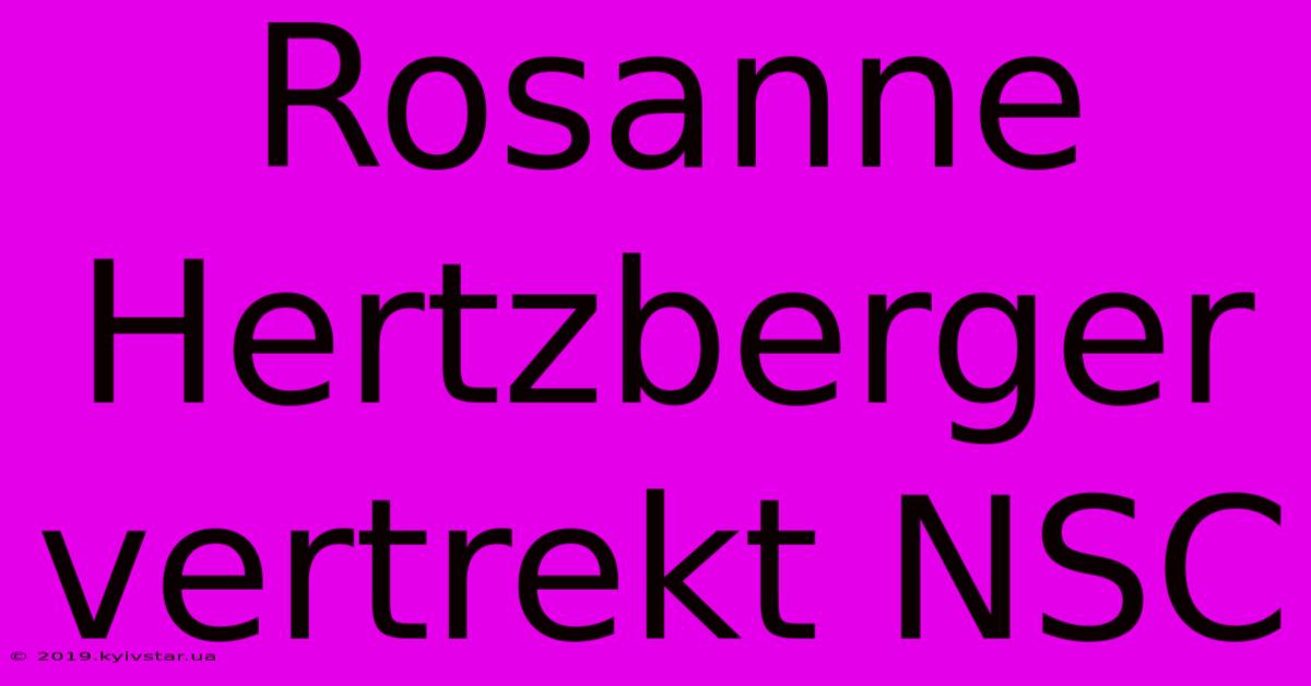 Rosanne Hertzberger Vertrekt NSC