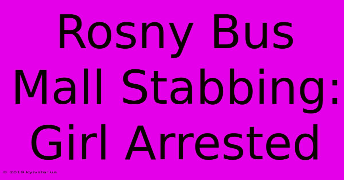 Rosny Bus Mall Stabbing: Girl Arrested