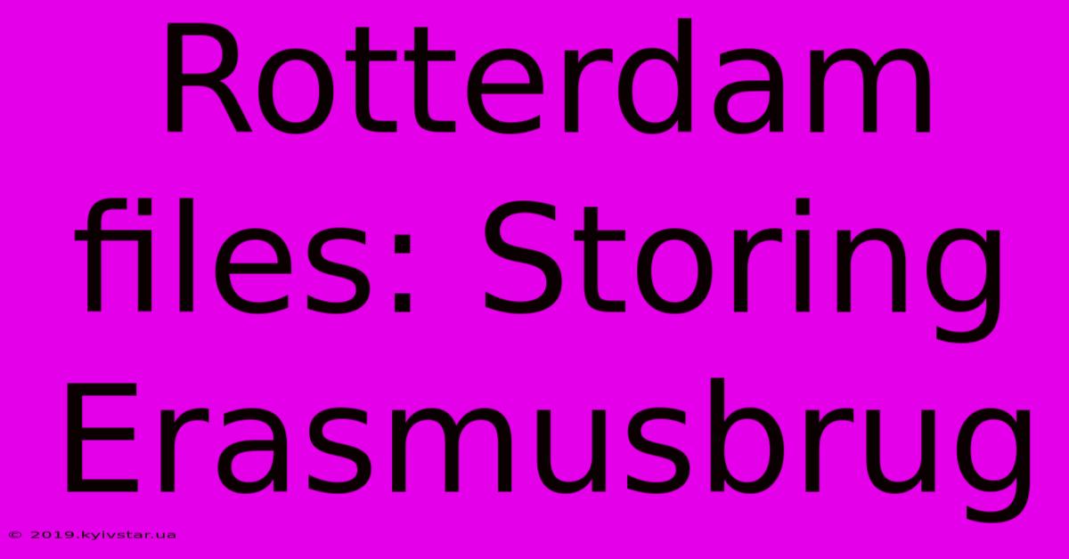 Rotterdam Files: Storing Erasmusbrug