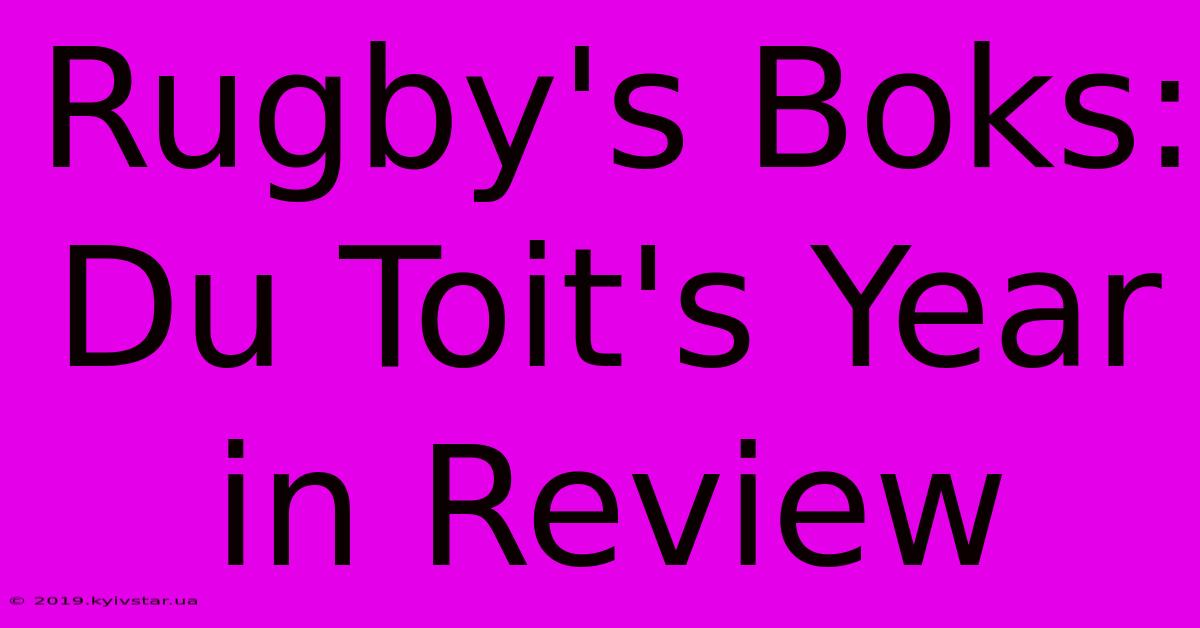 Rugby's Boks: Du Toit's Year In Review