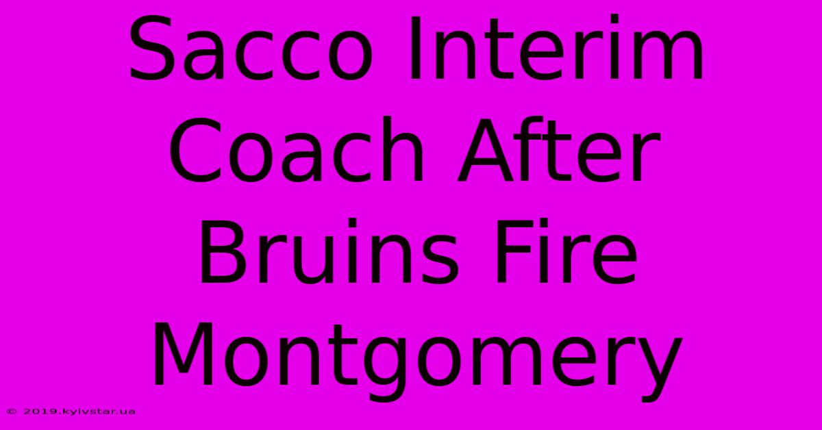 Sacco Interim Coach After Bruins Fire Montgomery