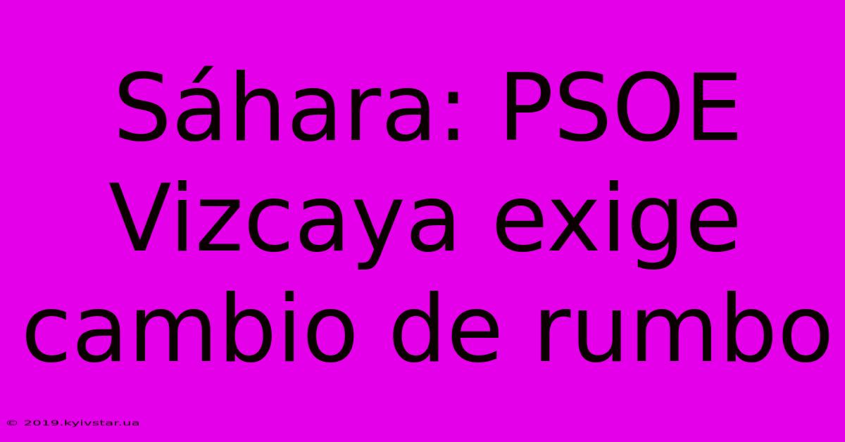 Sáhara: PSOE Vizcaya Exige Cambio De Rumbo