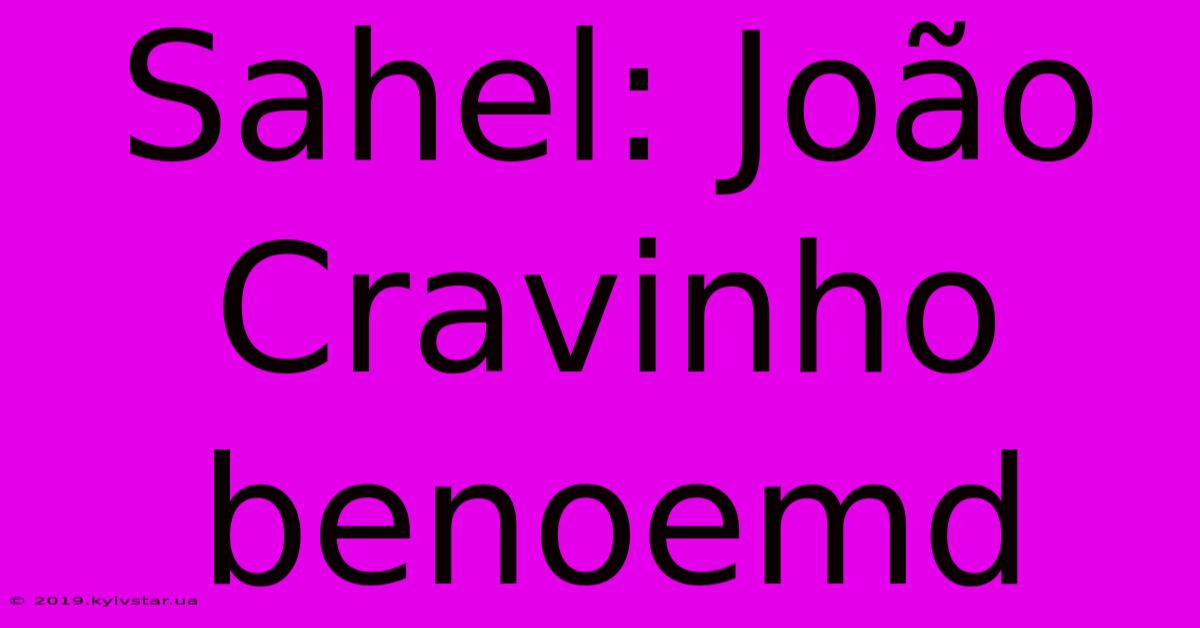 Sahel: João Cravinho Benoemd