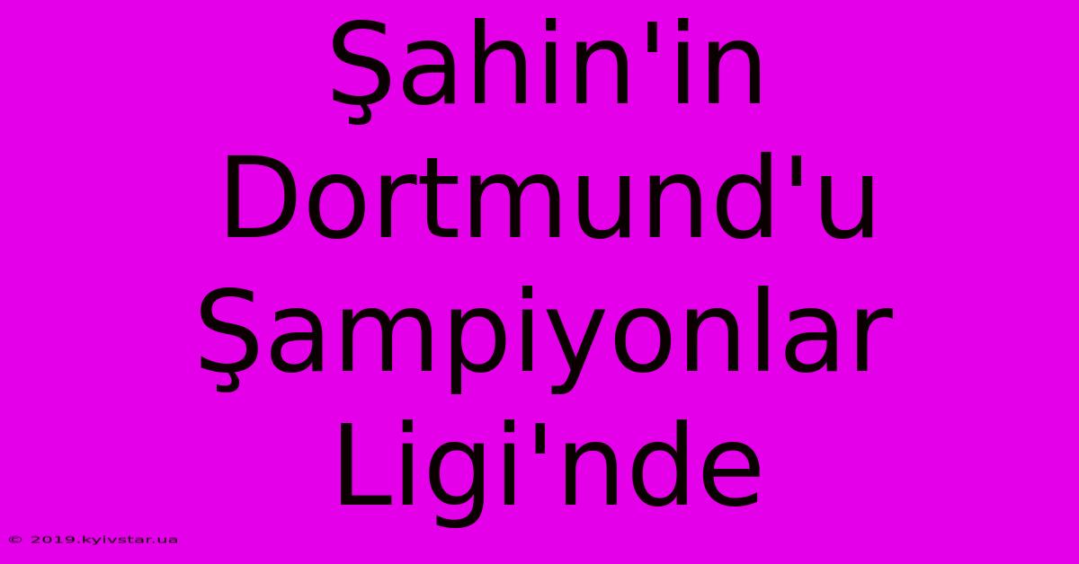 Şahin'in Dortmund'u Şampiyonlar Ligi'nde